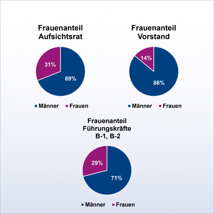 Grafik die den Anteil von Frauen im Finanzsektor darstellt